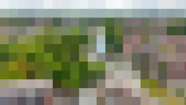 Boelekade 223 Gouda thumbnail 26