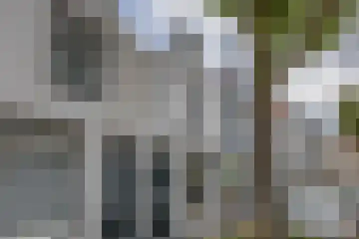 Boelekade 223 Gouda thumbnail 5