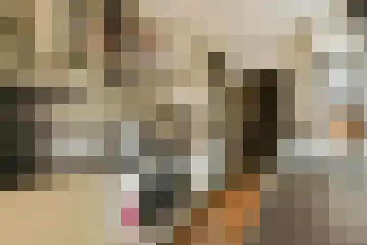 Boelekade 41 Gouda thumbnail 13
