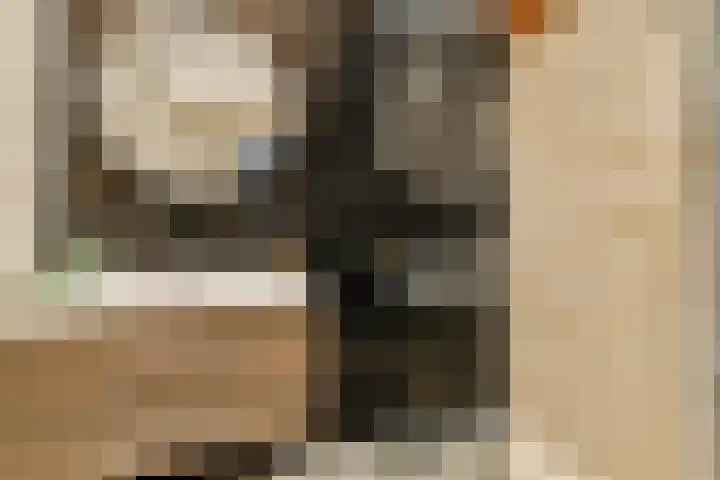 Boelekade 41 Gouda thumbnail 15