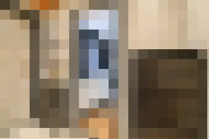 Boelekade 41 Gouda thumbnail 16