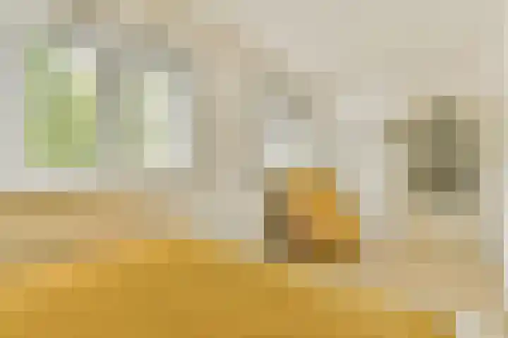 Boelekade 41 Gouda thumbnail 23