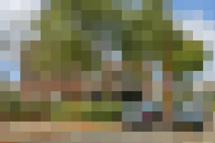 Boelekade 41 Gouda thumbnail 5