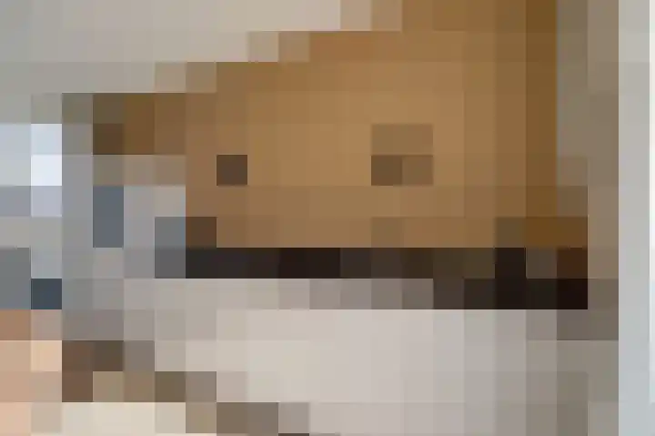 Boelekade 48 a Gouda thumbnail 13