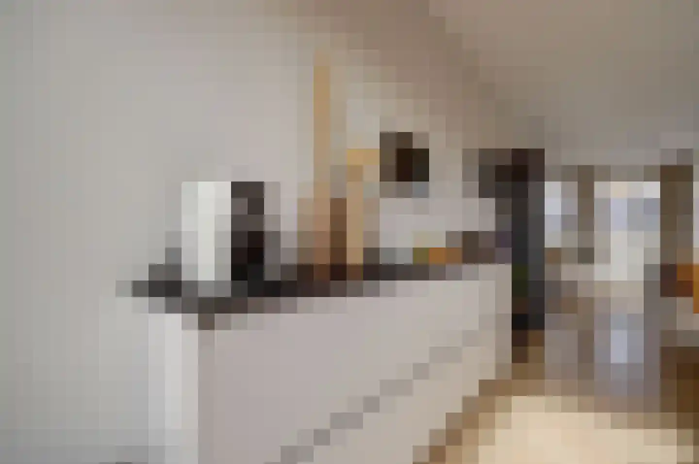 Boelekade 48 a Gouda thumbnail 15