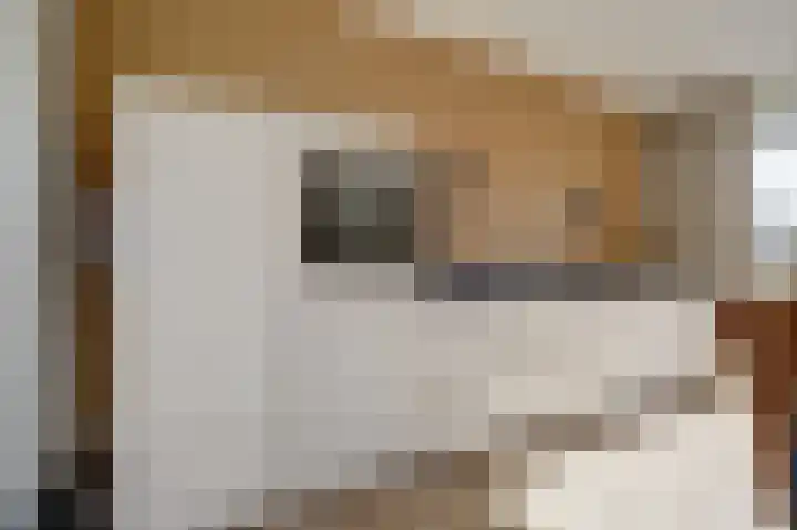 Boelekade 48 a Gouda thumbnail 15