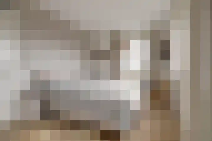 Boelekade 48 a Gouda thumbnail 17