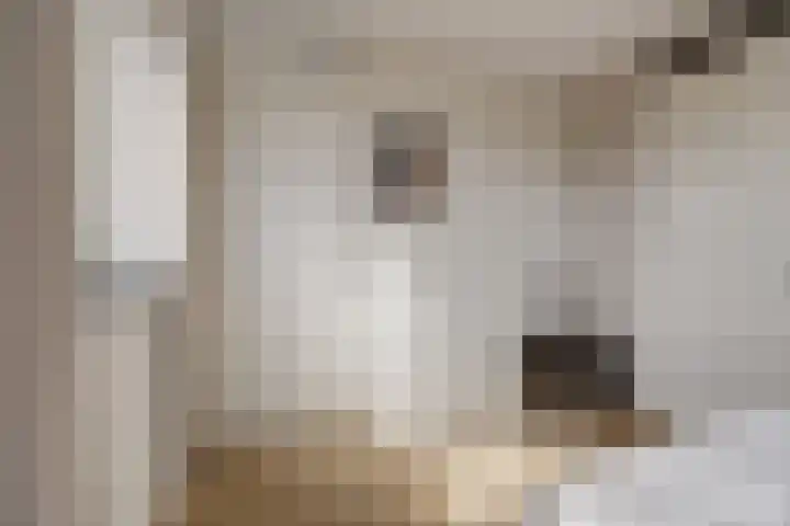 Boelekade 48 a Gouda thumbnail 18