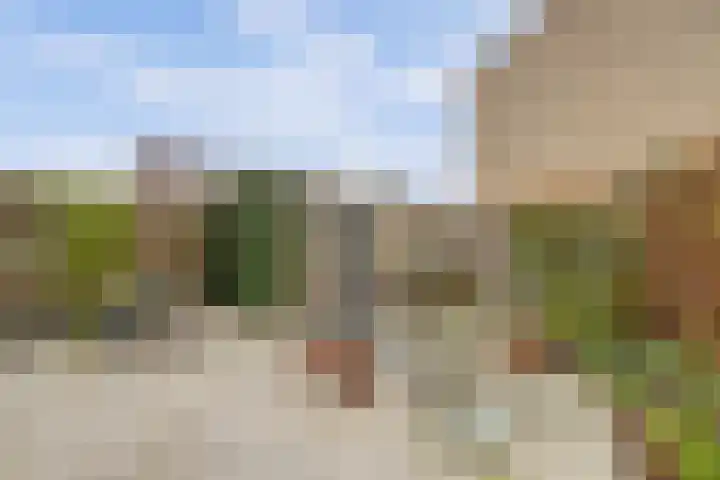 Boelekade 48 a Gouda thumbnail 29