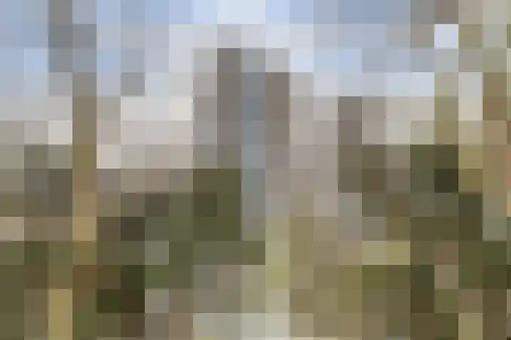 Boelekade 48 a Gouda thumbnail 6