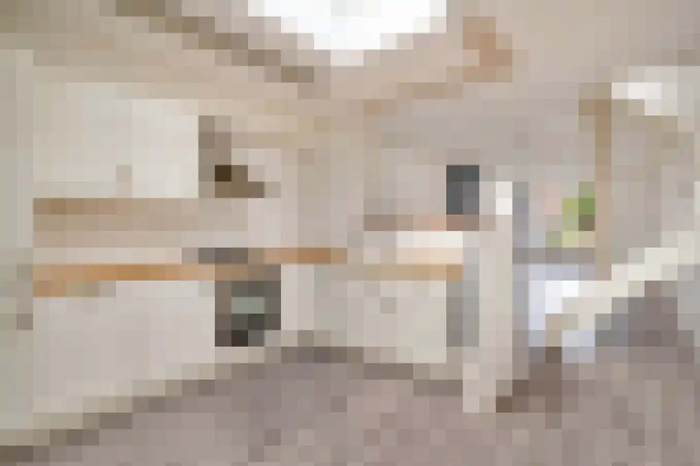Boelekade 58 Gouda thumbnail 13