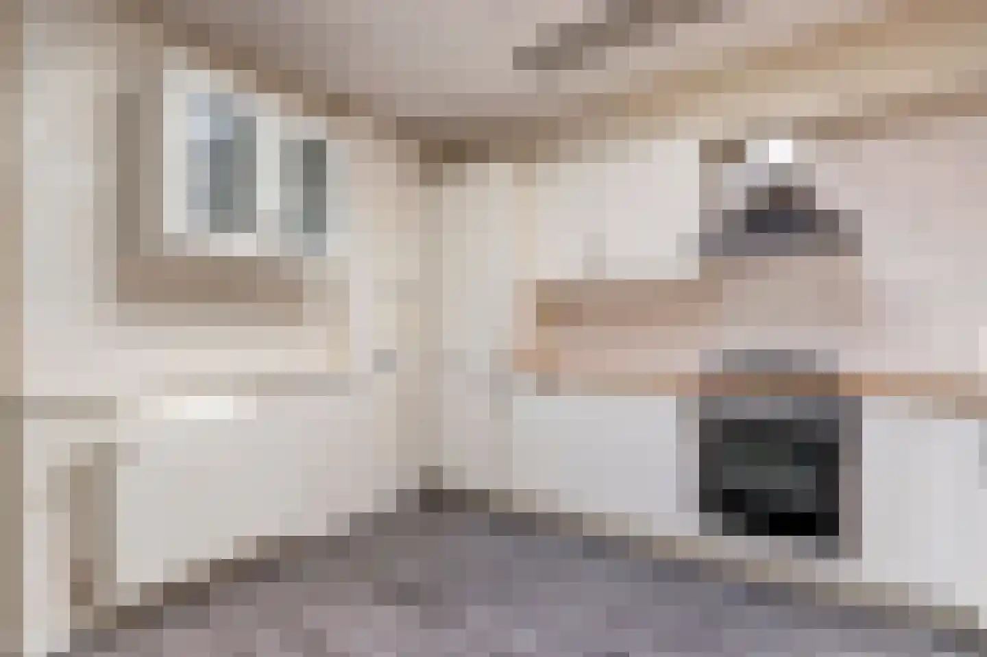 Boelekade 58 Gouda thumbnail 14