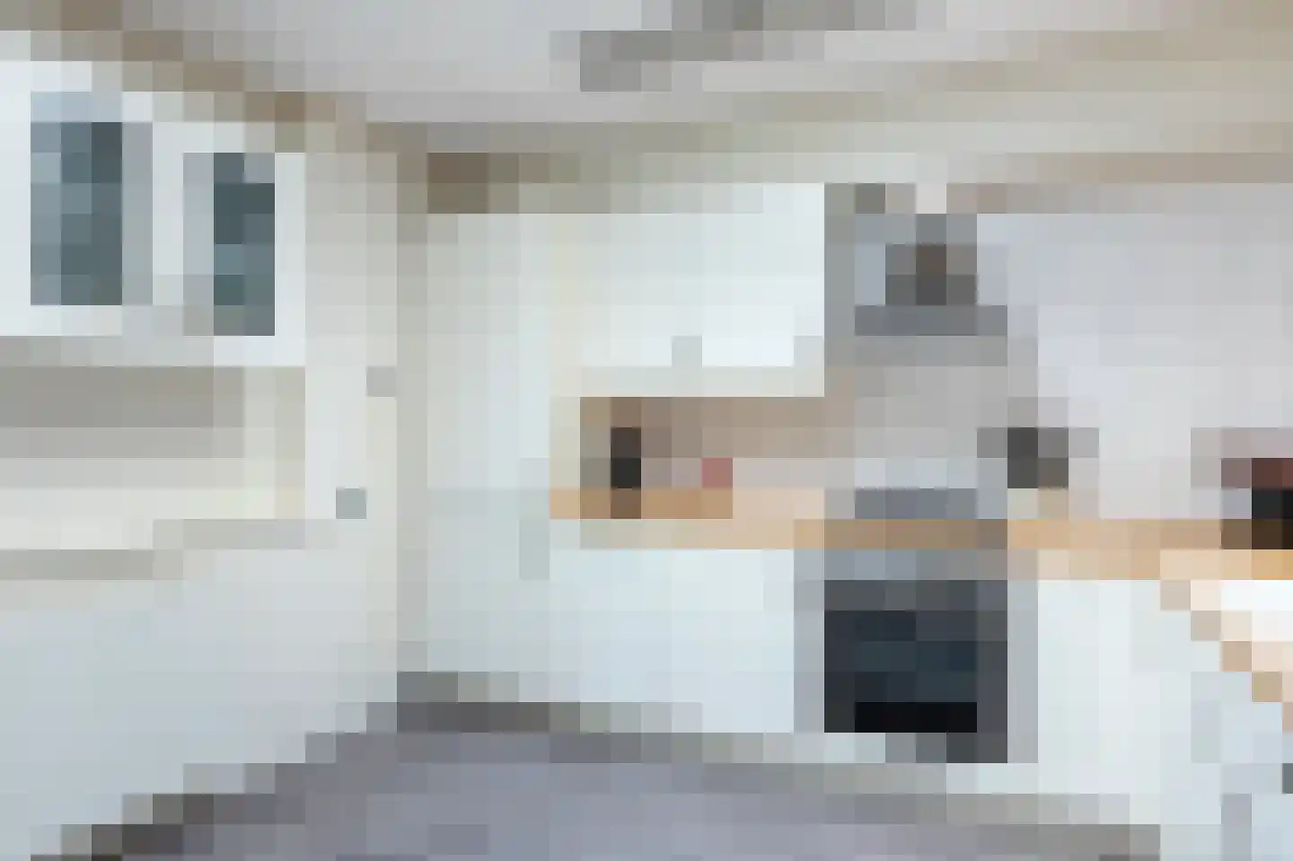 Boelekade 58 Gouda thumbnail 14
