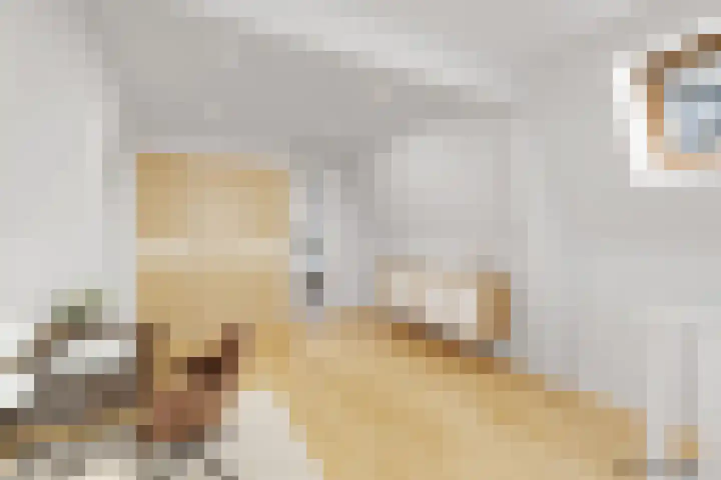 Boelekade 58 Gouda thumbnail 22