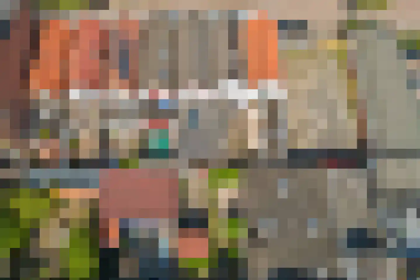 Boelekade 58 Gouda thumbnail 33