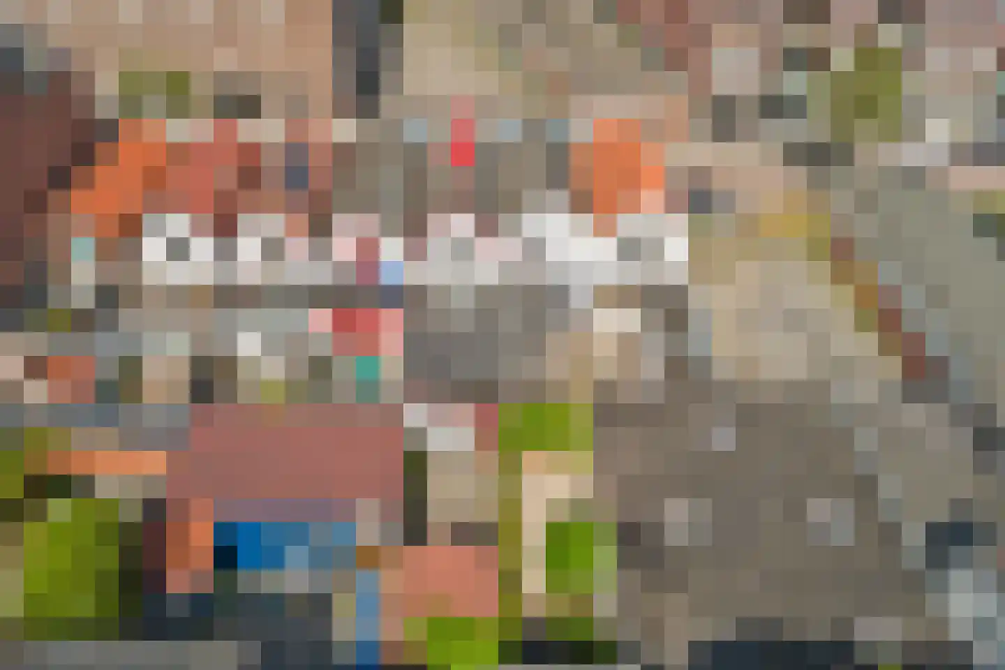 Boelekade 58 Gouda thumbnail 34