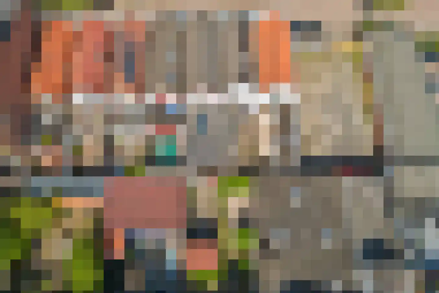 Boelekade 58 Gouda thumbnail 35
