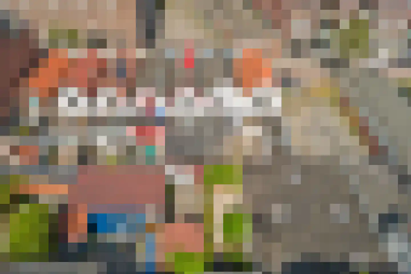 Boelekade 58 Gouda thumbnail 36