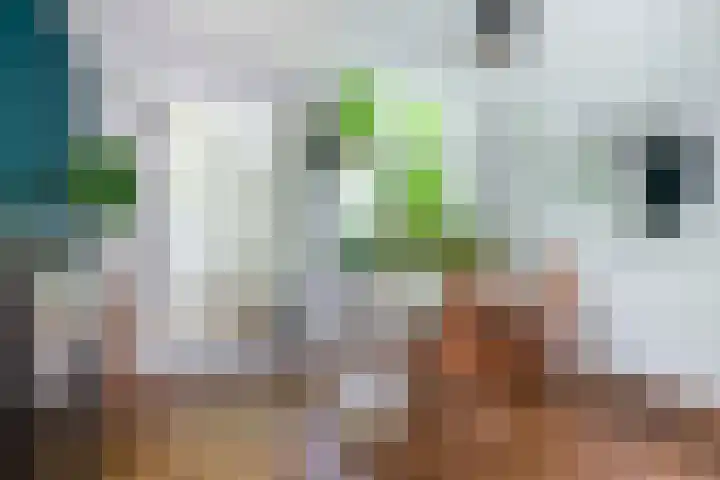 Boelekade 6 Gouda thumbnail 16