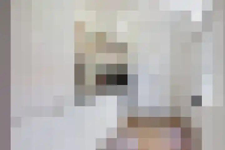 Boelekade 6 Gouda thumbnail 17