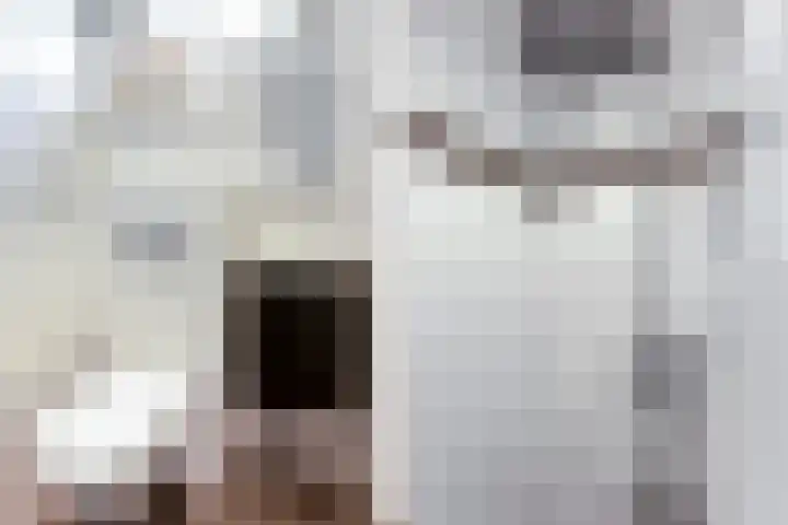 Boelekade 6 Gouda thumbnail 21