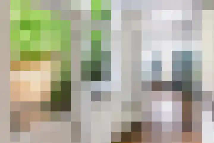 Boelekade 6 Gouda thumbnail 22