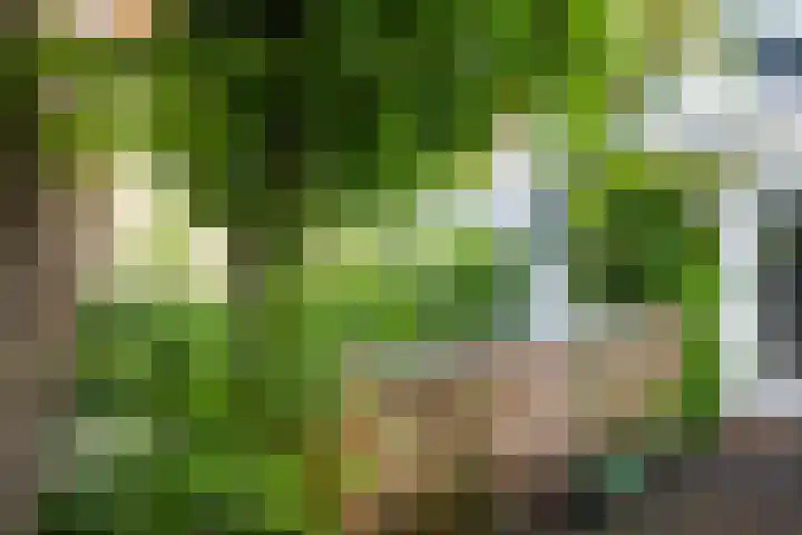 Boelekade 6 Gouda thumbnail 25