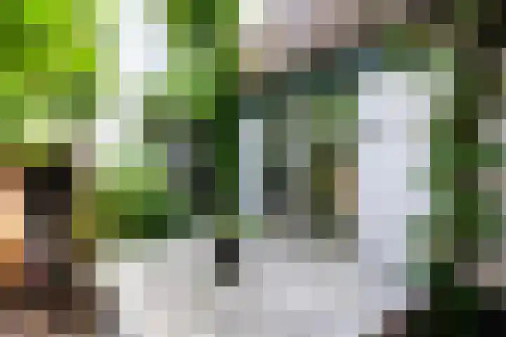 Boelekade 6 Gouda thumbnail 26
