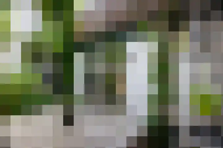 Boelekade 6 Gouda thumbnail 27