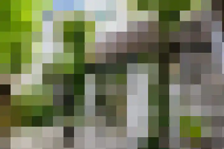 Boelekade 6 Gouda thumbnail 29
