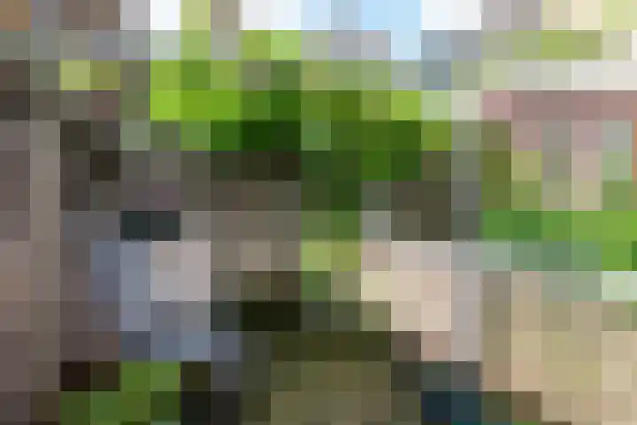 Boelekade 6 Gouda thumbnail 39
