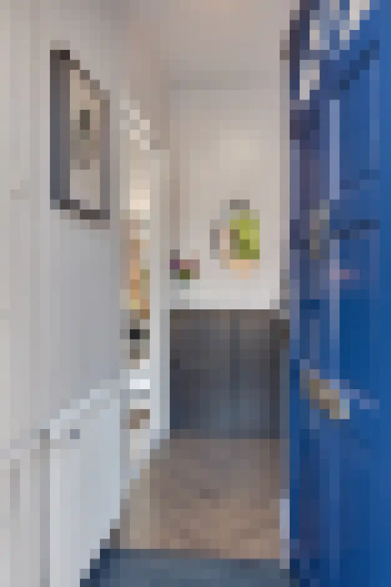 Boelekade 60 Gouda thumbnail 10