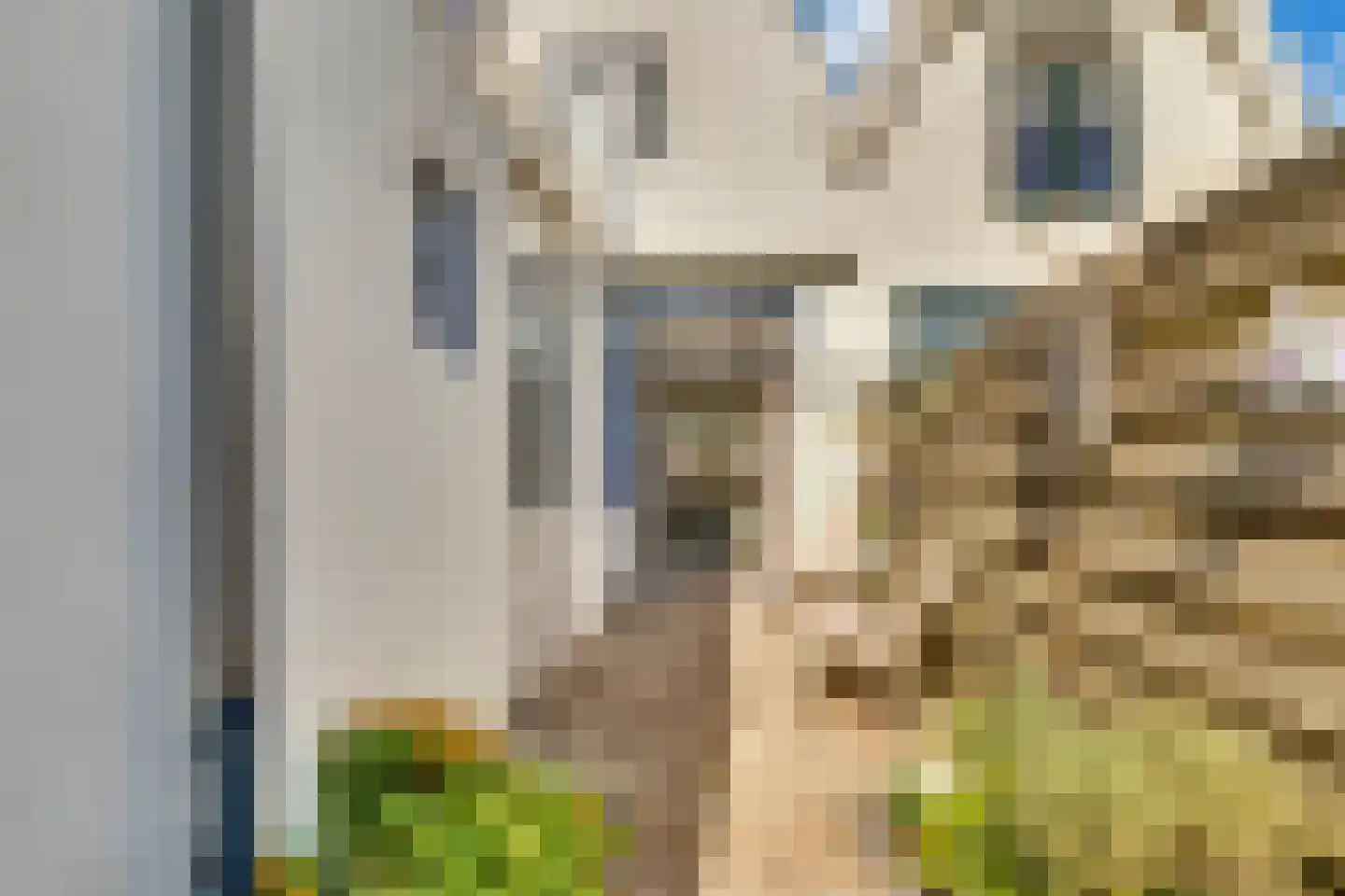 Boelekade 60 Gouda thumbnail 28