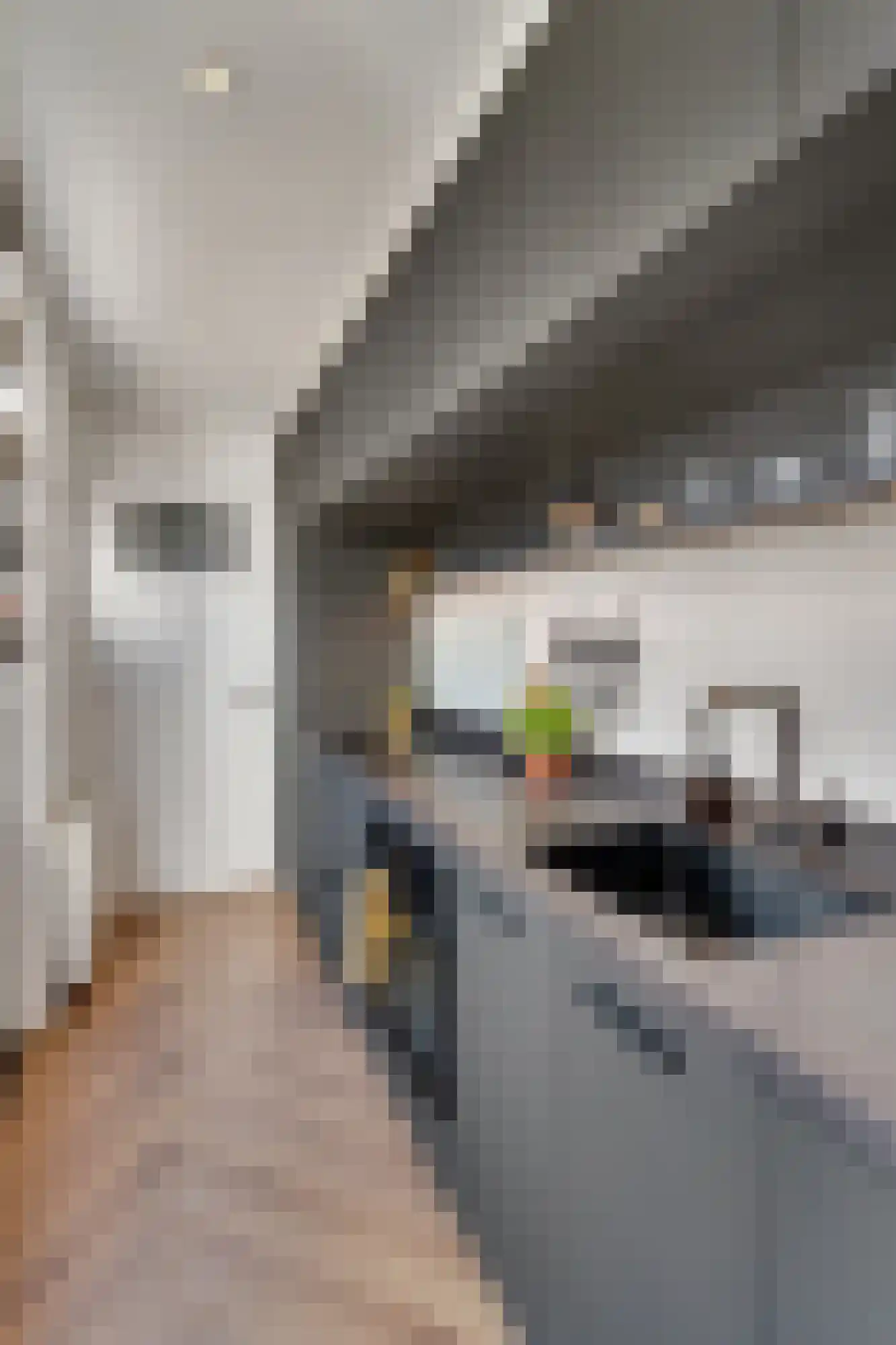 Boelekade 60 Gouda thumbnail 31