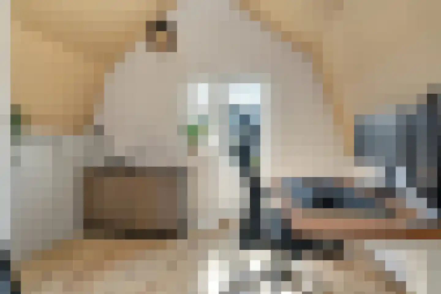 Boelekade 60 Gouda thumbnail 37