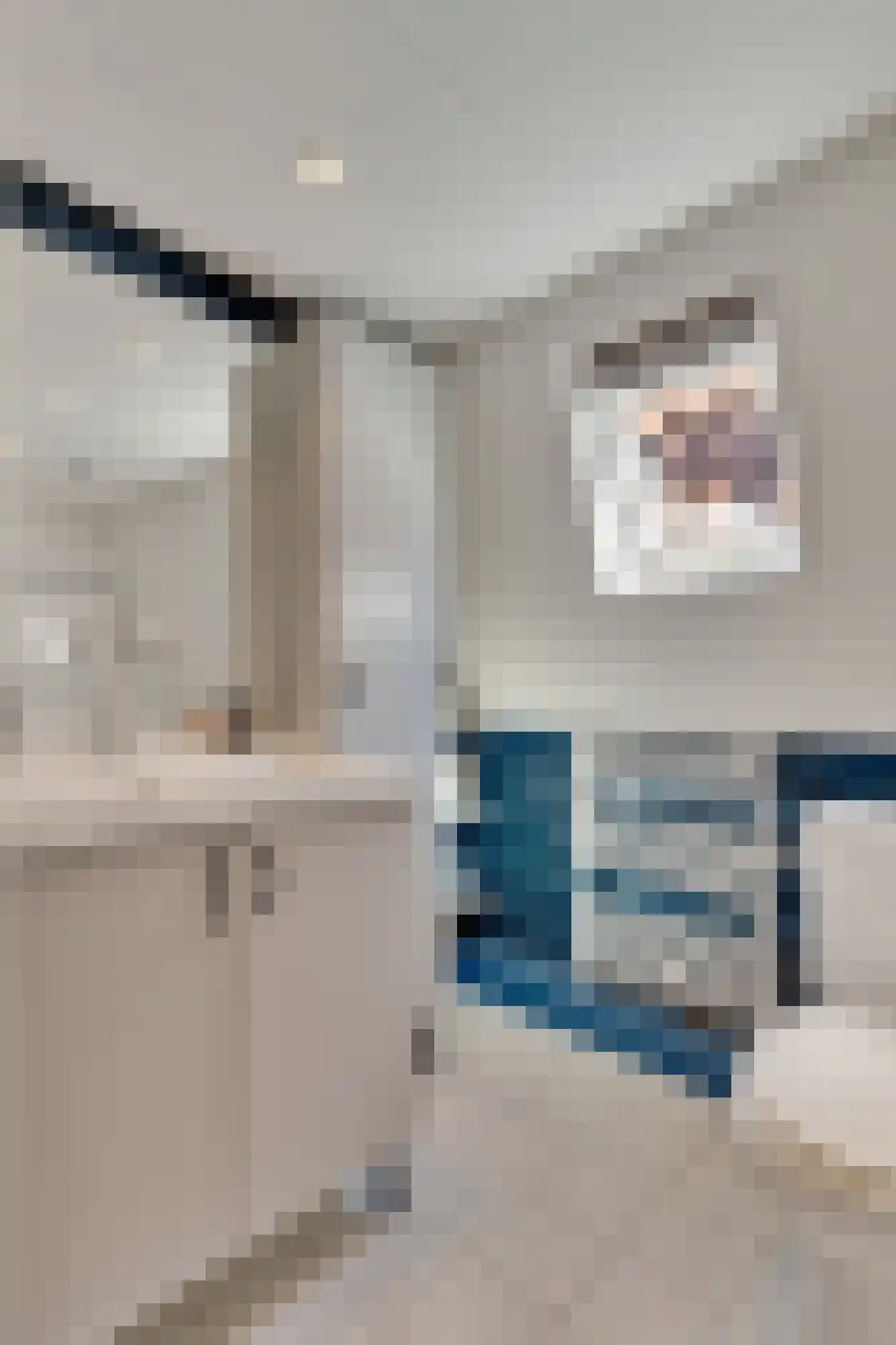 Boelekade 60 Gouda thumbnail 40