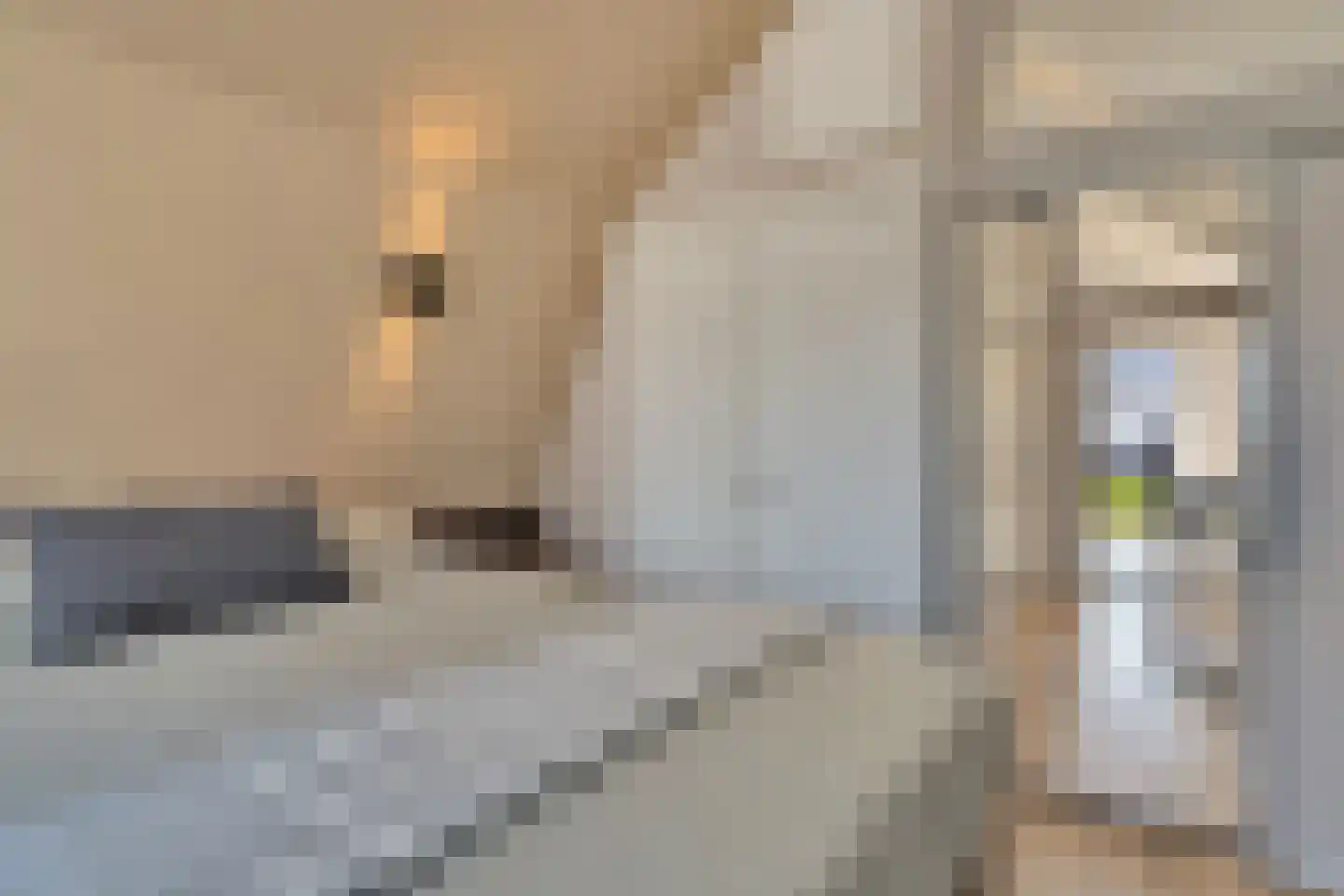 Boelekade 60 Gouda thumbnail 46