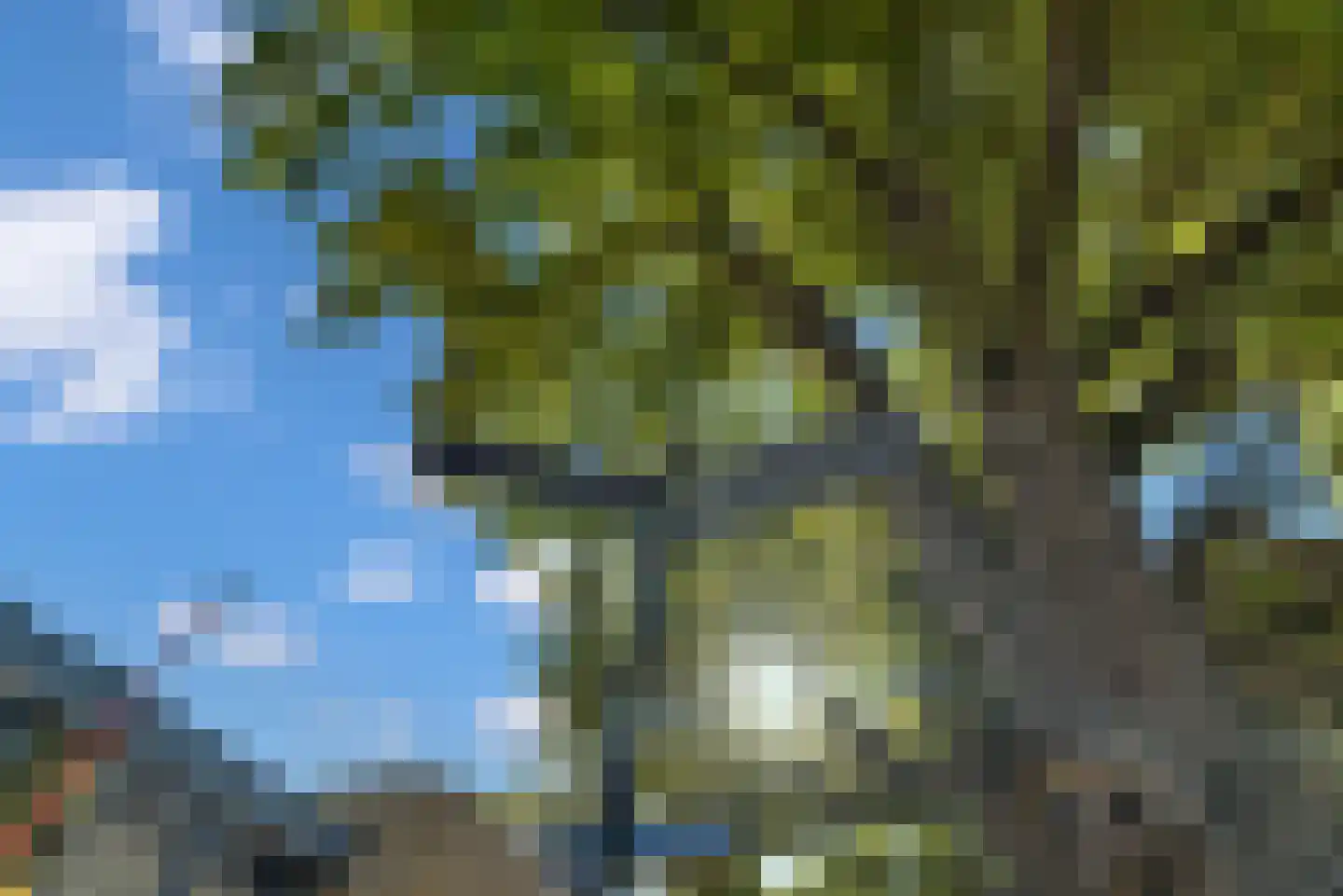 Boelekade 60 Gouda thumbnail 55