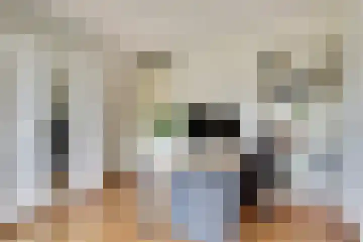 Boelekade 68 Gouda thumbnail 20
