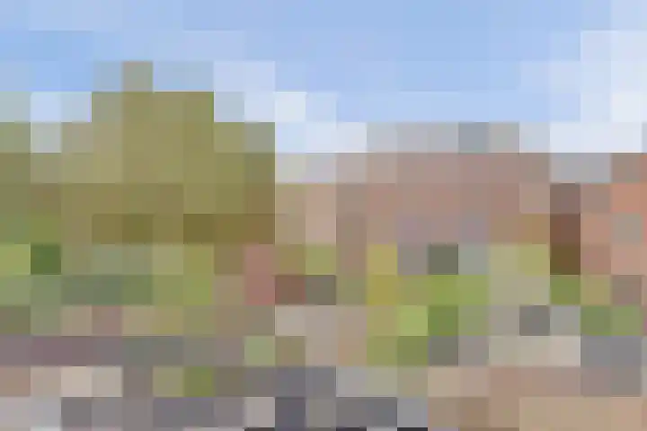 Boelekade 68 Gouda thumbnail 23