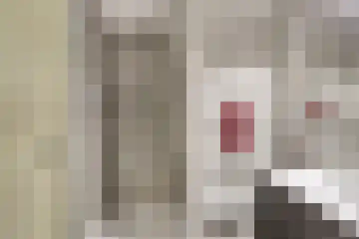 Boelekade 68 Gouda thumbnail 24
