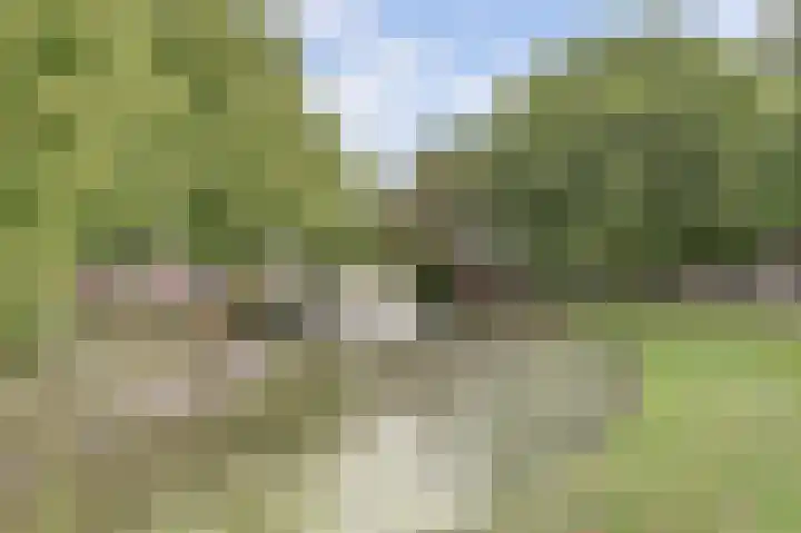 Boelekade 68 Gouda thumbnail 34