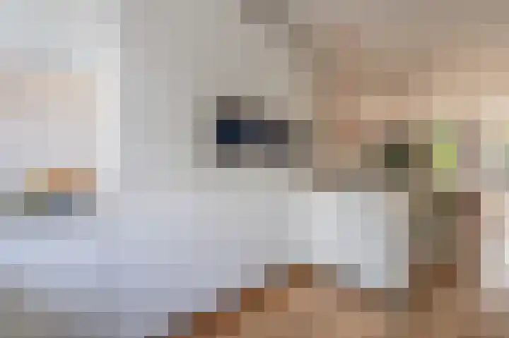 Boelemaheerd 144 Groningen thumbnail 20