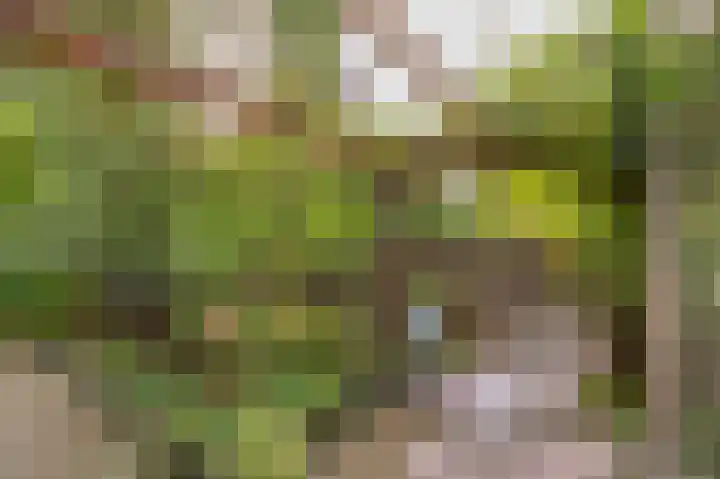 Boelemaheerd 144 Groningen thumbnail 35