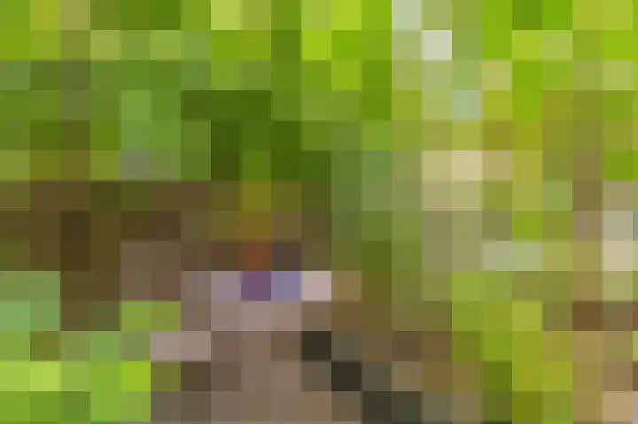 Boelemaheerd 144 Groningen thumbnail 41