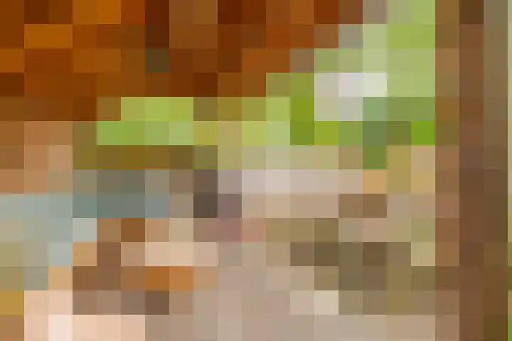 Boelemaheerd 144 Groningen thumbnail 44