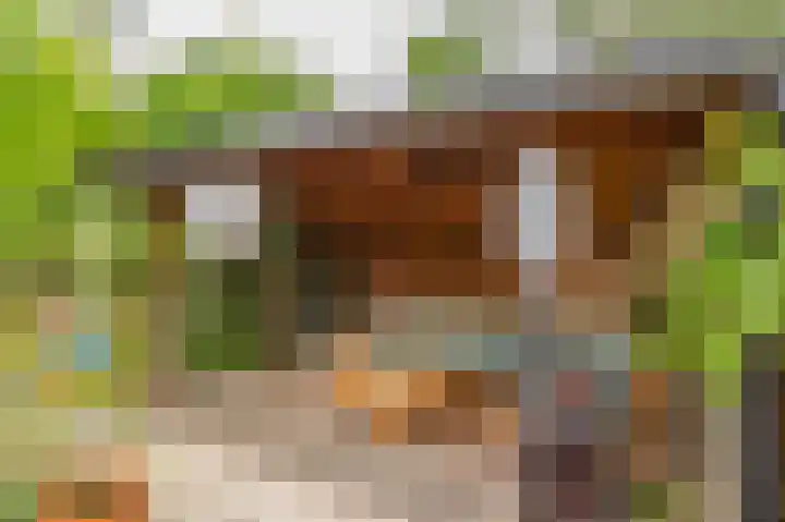 Boelemaheerd 144 Groningen thumbnail 47
