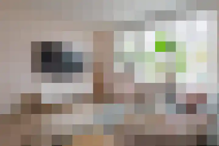 Boelemaheerd 3 Groningen thumbnail 11