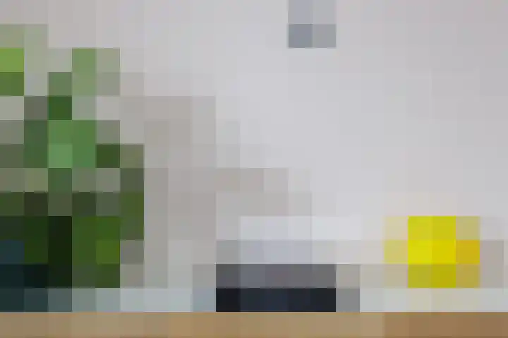 Boelemaheerd 3 Groningen thumbnail 12