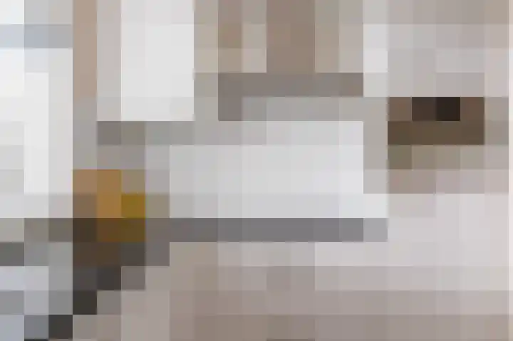 Boelemaheerd 3 Groningen thumbnail 16